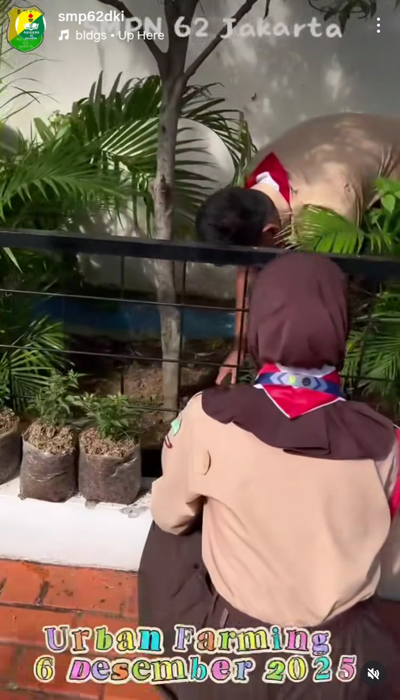 urban_farming_2025_2